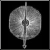 Artalis's Avatar
