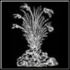 Kholiope's Avatar