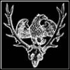 Rightlov's Avatar