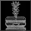 Miikka's Avatar