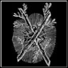 xanthicsnow's Avatar