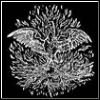 Nenya's Avatar