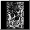 Colian's Avatar