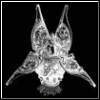 CultOfXtc's Avatar