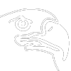 Eagle Eye