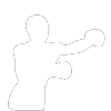 Brawler