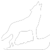 Pack Leader