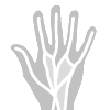 Open Vein